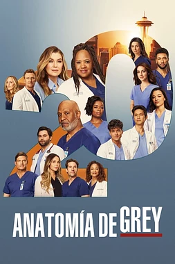 poster for the season 9 of Anatomía de Grey