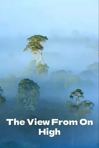 Poster de Desde las Alturas