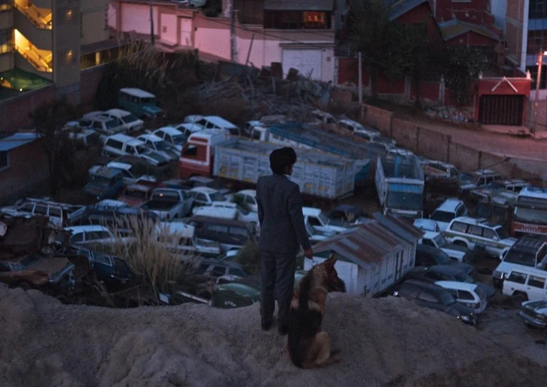 Imagen de el-ladron-de-perros