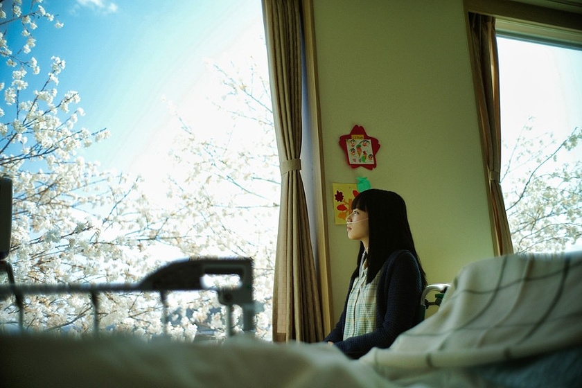 Nana Komatsu en the-last-10-years