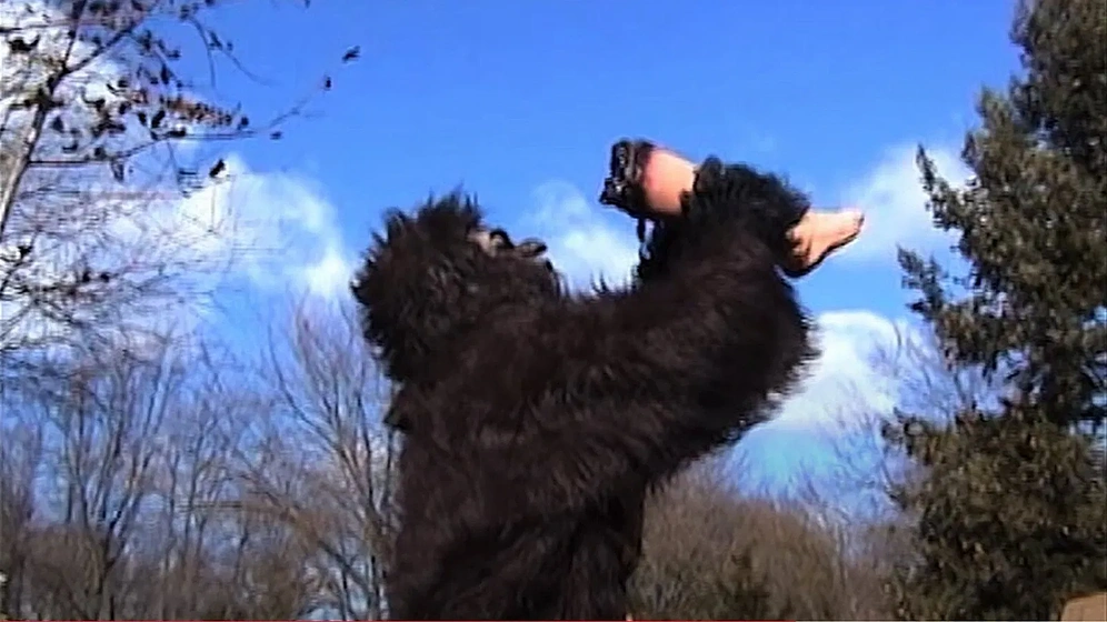 Dave Wascavage en Suburban Sasquatch