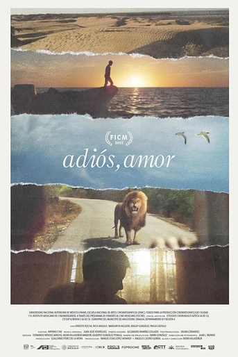 Poster de Adiós, Amor