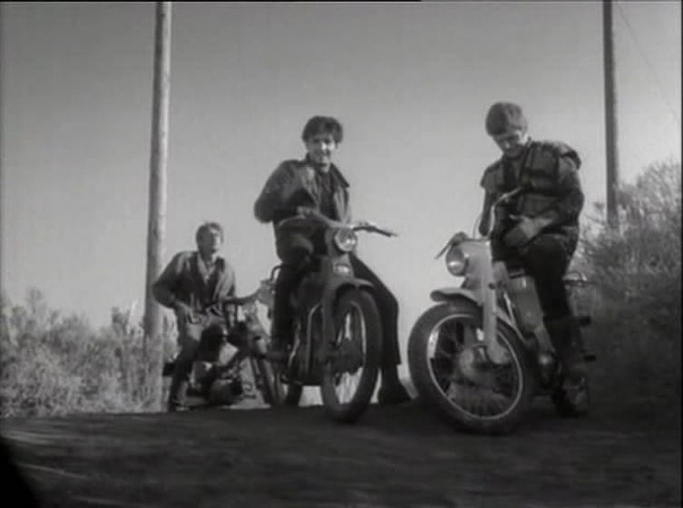 Imagen de Motor Psycho