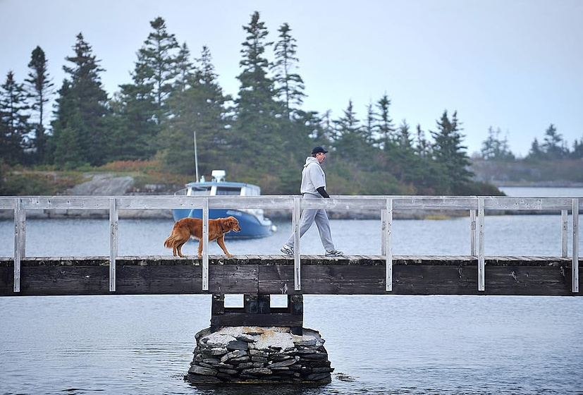 Imagen de jesse-stone-inocentes-perdidos