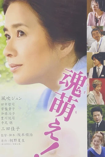 Poster de Awaking