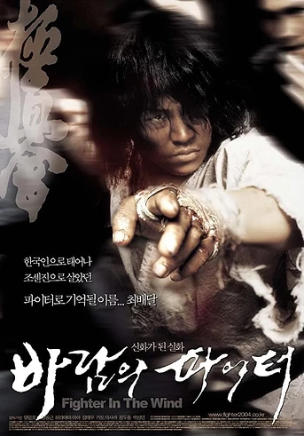 Poster de Fighter in the Wind
