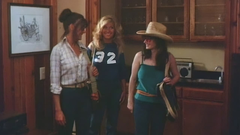 Imagen de Malibu Hot Summer