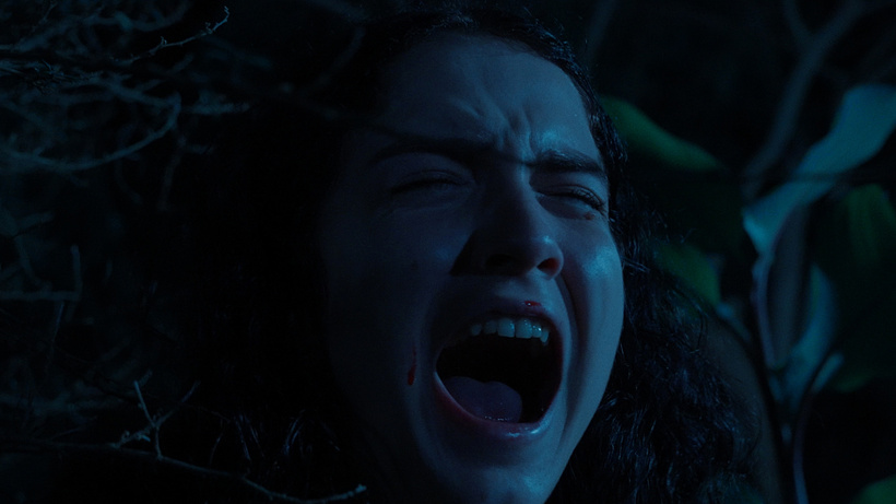 Imagen de El Llanto del Perro