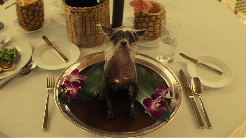 Imagen de Mythic Quest: Más Allá del Juego