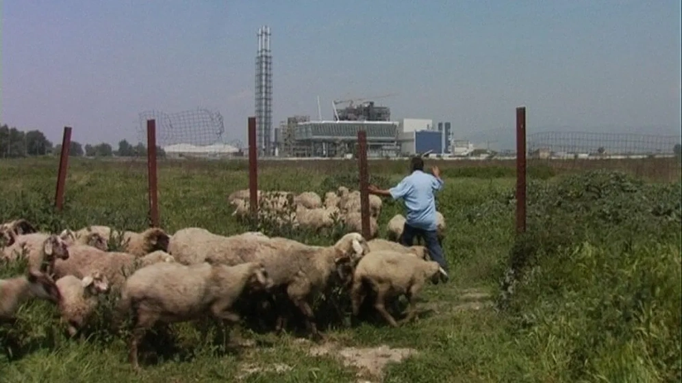 Imagen de biutiful-cauntri