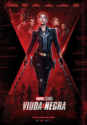 poster of content Viuda Negra