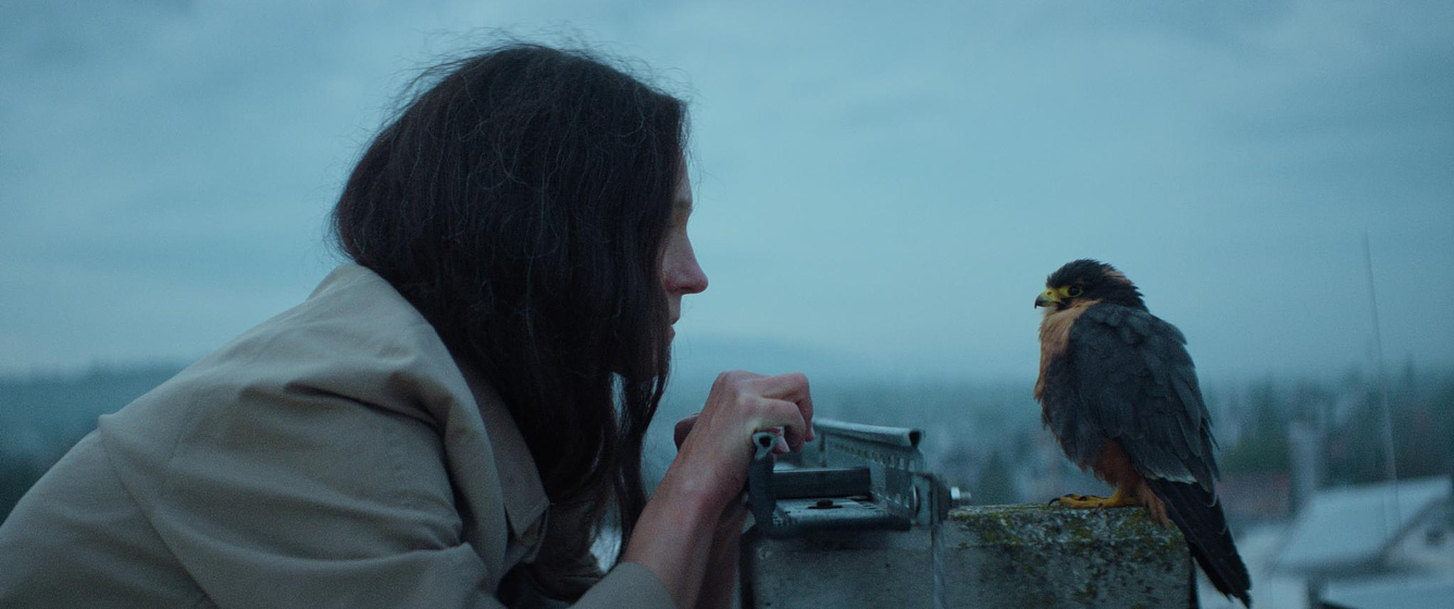 Imagen de Chaos and Silence