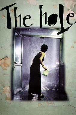 poster of movie The Hole