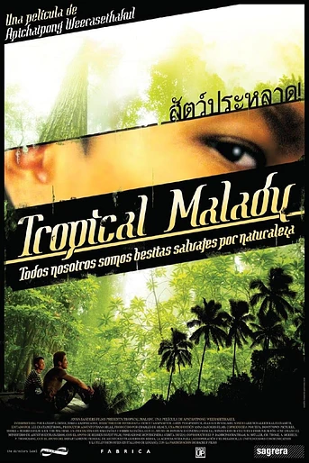 Poster de Tropical Malady