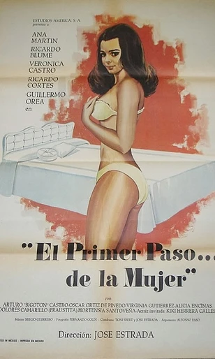 Poster de El primer paso... de la mujer