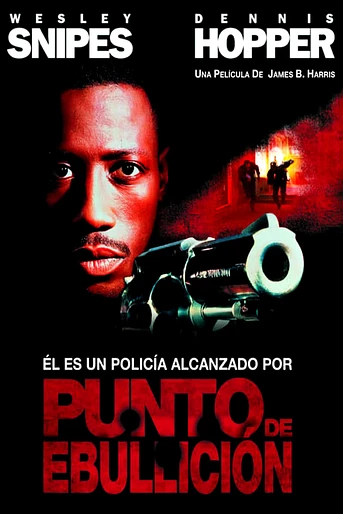 Poster de Punto de Ebullición