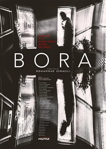 Poster de The Bora