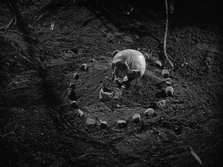 Imagen de Yo anduve con un Zombie