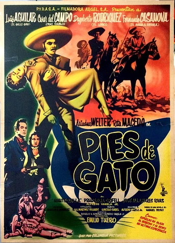 Poster de Pies de gato