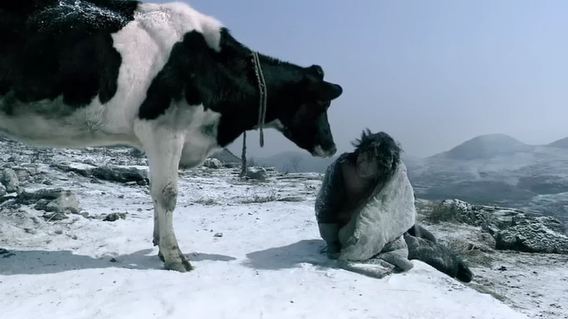 Imagen de Cow