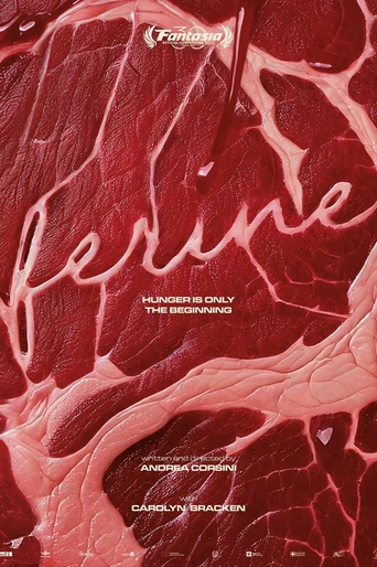 Poster de Ferine