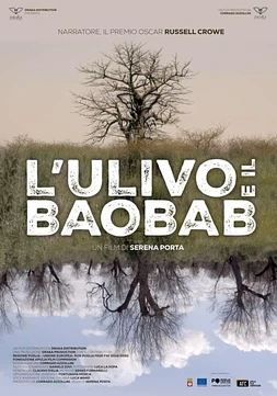 L'ulivo e il Baobab