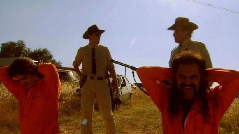 Imagen de La Furia de Mackenzie