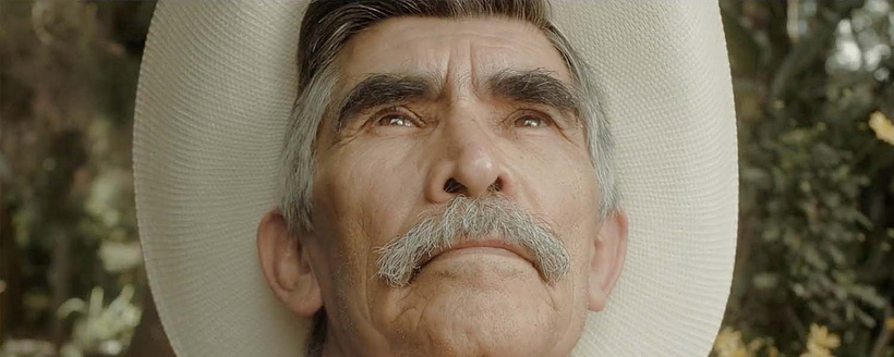 Imagen de Cordillera de Fuego