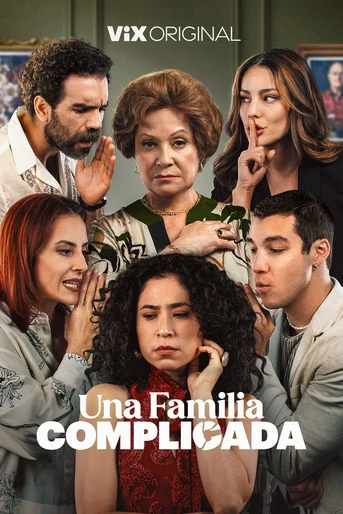 Poster de Una Familia Complicada