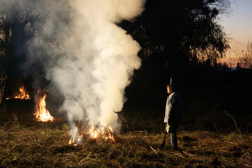 Imagen de Sentados Frente al Fuego