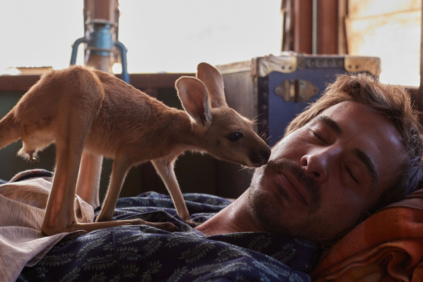 Ryan Corr en kangaroo-una-aventura-en-australia