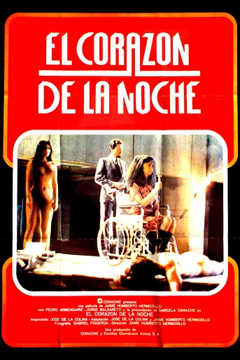 Poster de El corazón de la noche