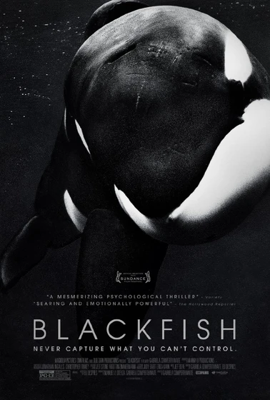Imagen de blackfish (Cartel)