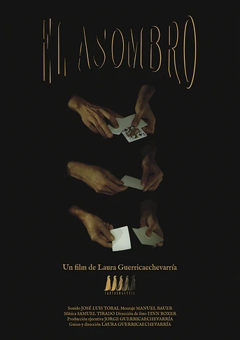 Poster de El Asombro