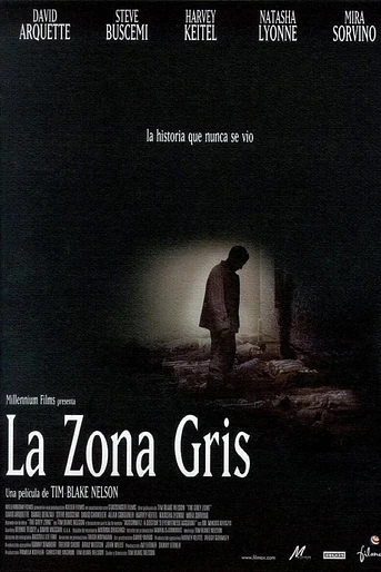 Poster de La zona gris