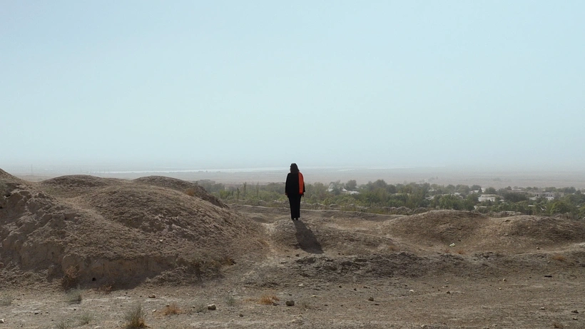 Imagen de The Last Ambassador