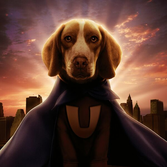Imagen de Superdog