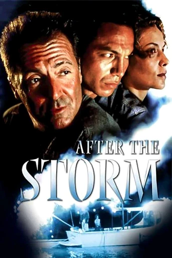 Poster de Tras la Tormenta
