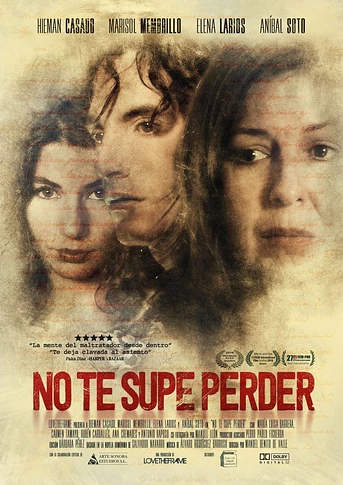 Poster de No te supe Perder