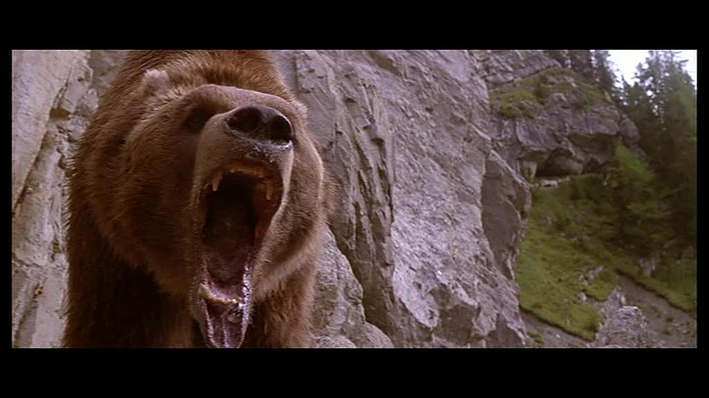 Imagen de El Oso