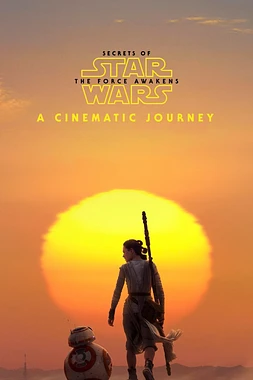 poster of movie Viaggio Secreto