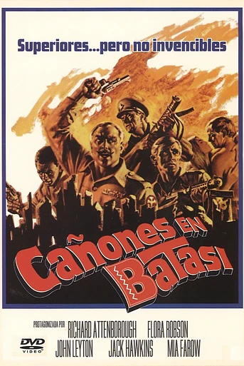 Poster de Cañones en Batasi