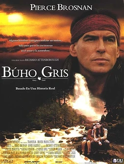 poster of movie Búho Gris