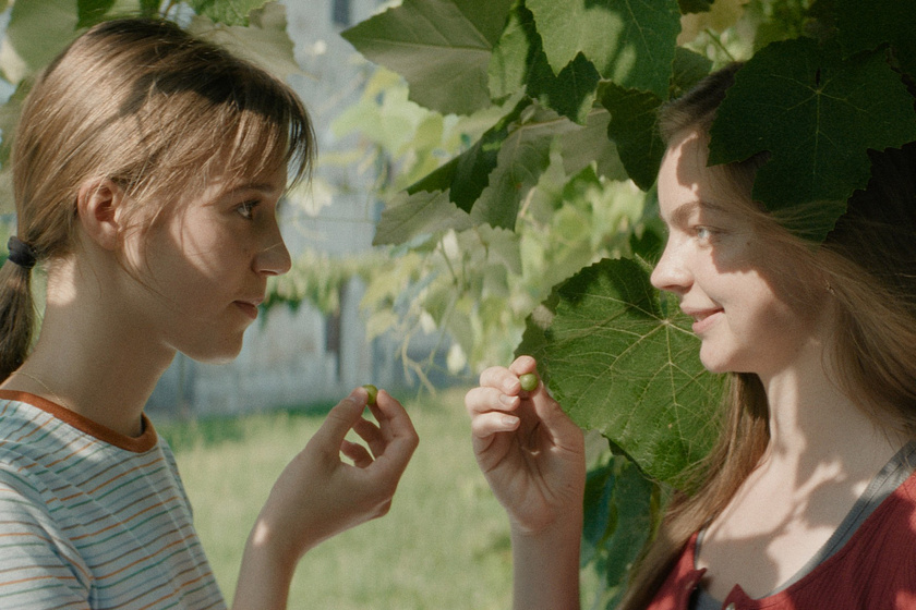 Imagen de Little Trouble Girls