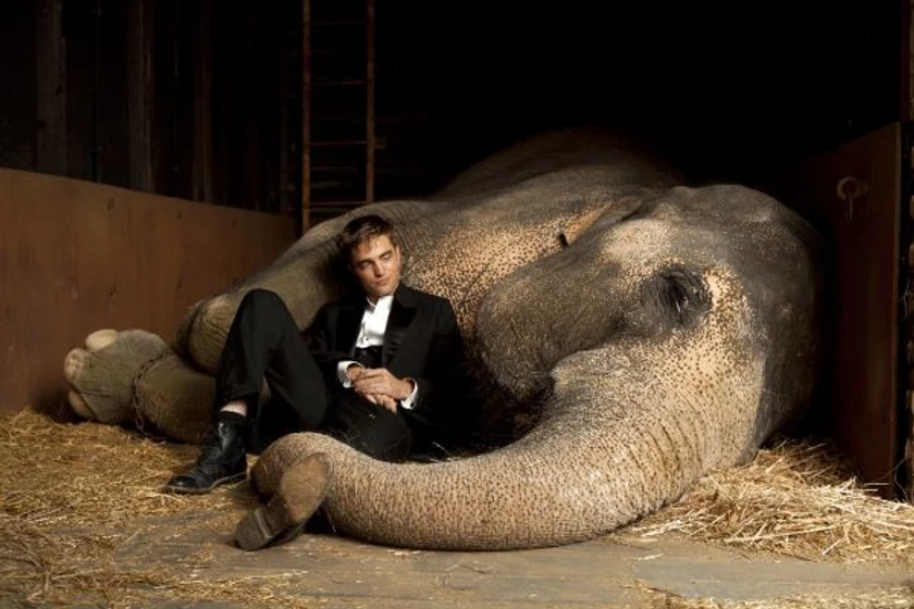 Robert Pattinson en agua-para-elefantes