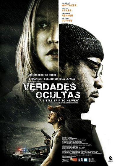 Imagen de Verdades ocultas (Cartel)