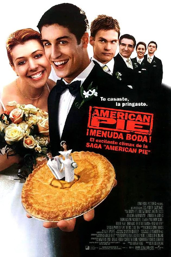 poster of content American Pie: ¡Menuda Boda!