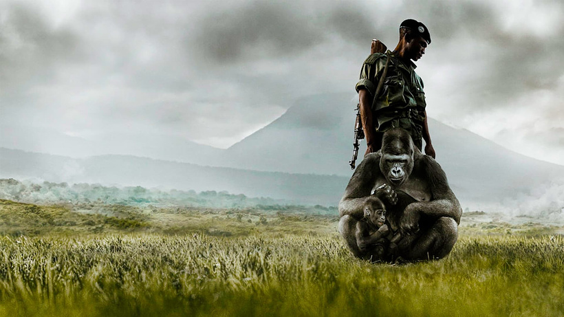 Imagen de Virunga