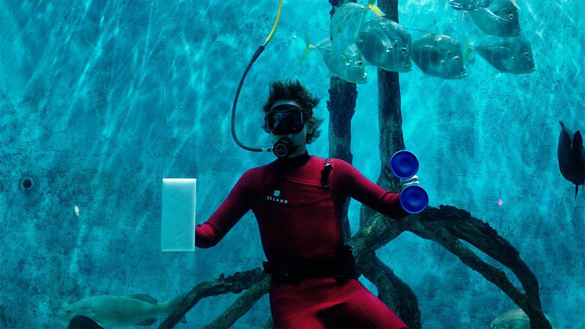 Imagen de Mermaid