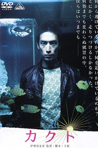 Poster de Kakuto